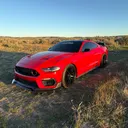 @forgotten.eco