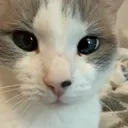 @iluvnoodles__