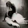 __fallen._.angel.__
