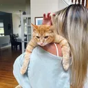 @ashley.dwyerr