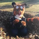 @acatnamedtwix