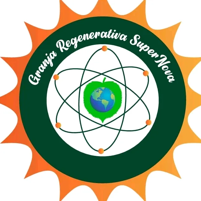 @supernovaregenerative