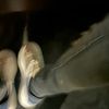 jayjay.1222