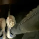 @jayjay.1222