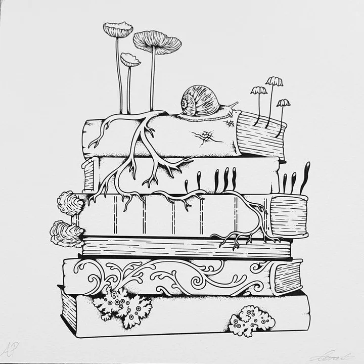 book.collection01