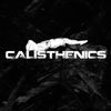 calisthenics433