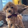 rue_s_mom