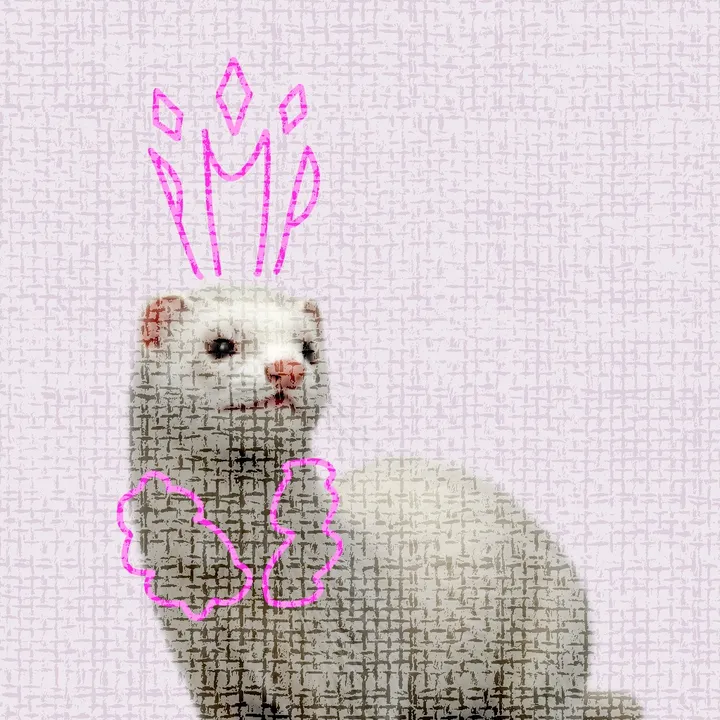 pinkminkpriestess