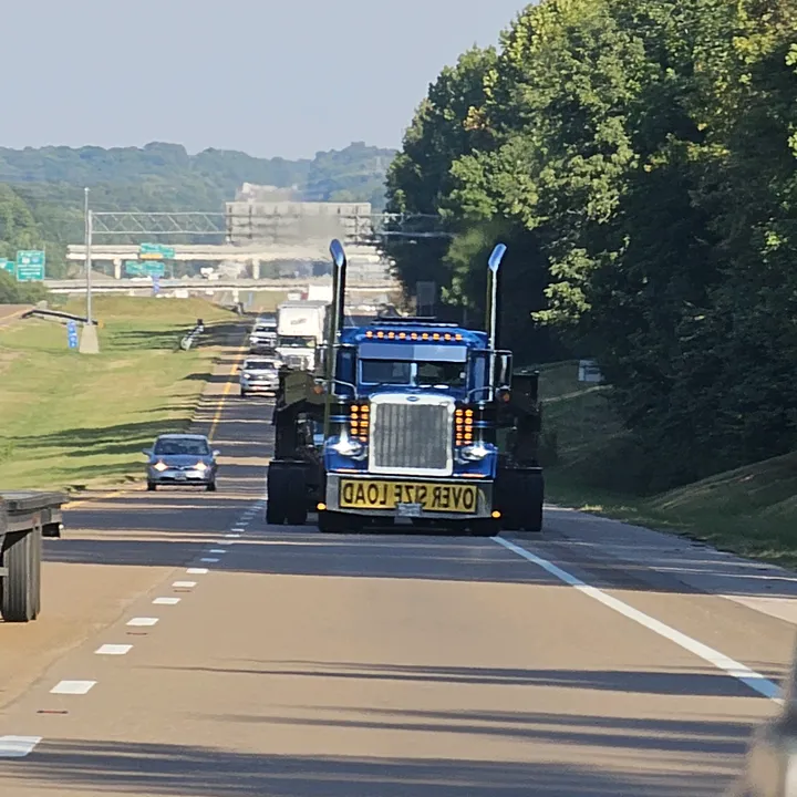 liveactionoversize