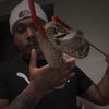 savageryreptiles