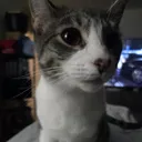 @hidudeitsme6741