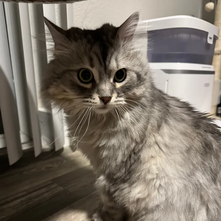 kiki.andsugar
