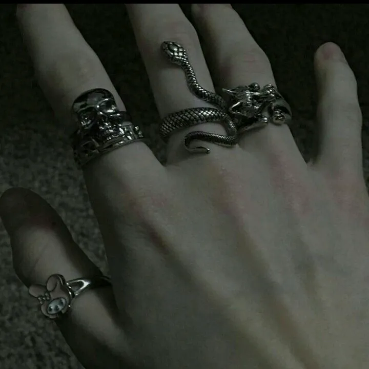 slytherin.princes44