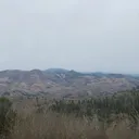 @gagereal69