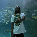 @btdaflames