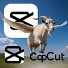 flight_goat24