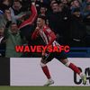 waveyball