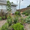 themagicvalleygardener