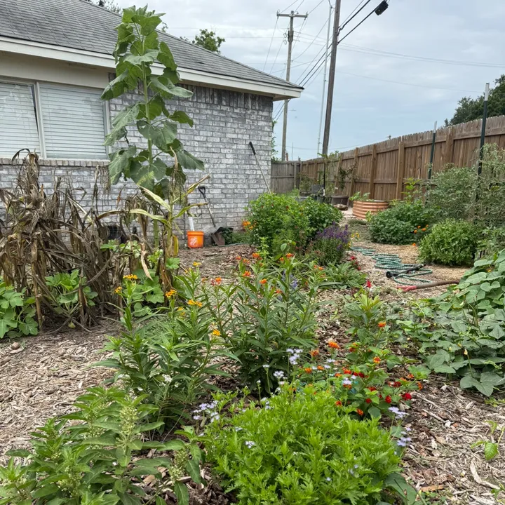 themagicvalleygardener