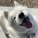 @furrylittlefriends0