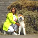 @oh_myakita
