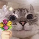 @rbiii92