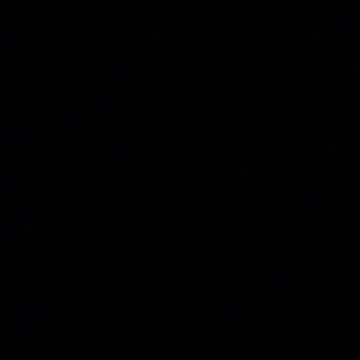salvatore11.5