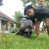 alim_ajjah
