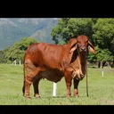 @naturalezarancho