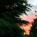 @mind.mercy