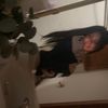 v._allll