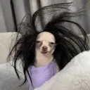 @hexedbywhitney