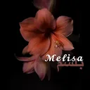 @melisa._6644