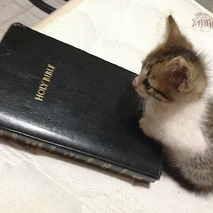 god.will.save.the.world