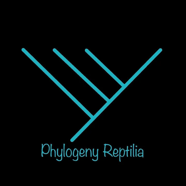 @phylogeny.reptili