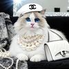 ablux.bags
