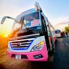 roadbuses255