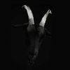 blackmetal.tiktok