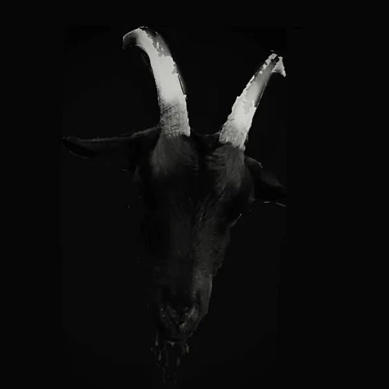 @blackmetal.tiktok