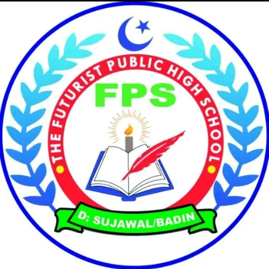 futuristschoolmirpurb