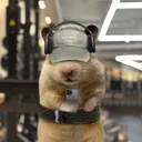 @big.jrow