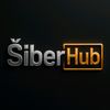 siber_04