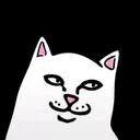 @breper_