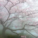 @shallowwordsoflove