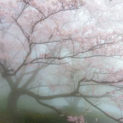 @shallowwordsoflove
