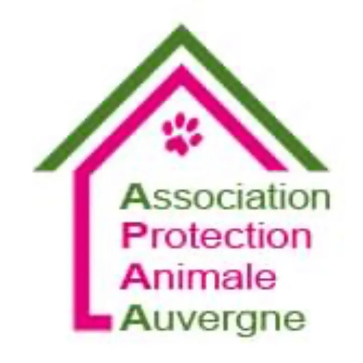 association_apaa03