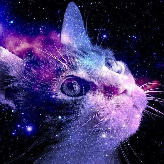 f0rg.eting4everyth1ng