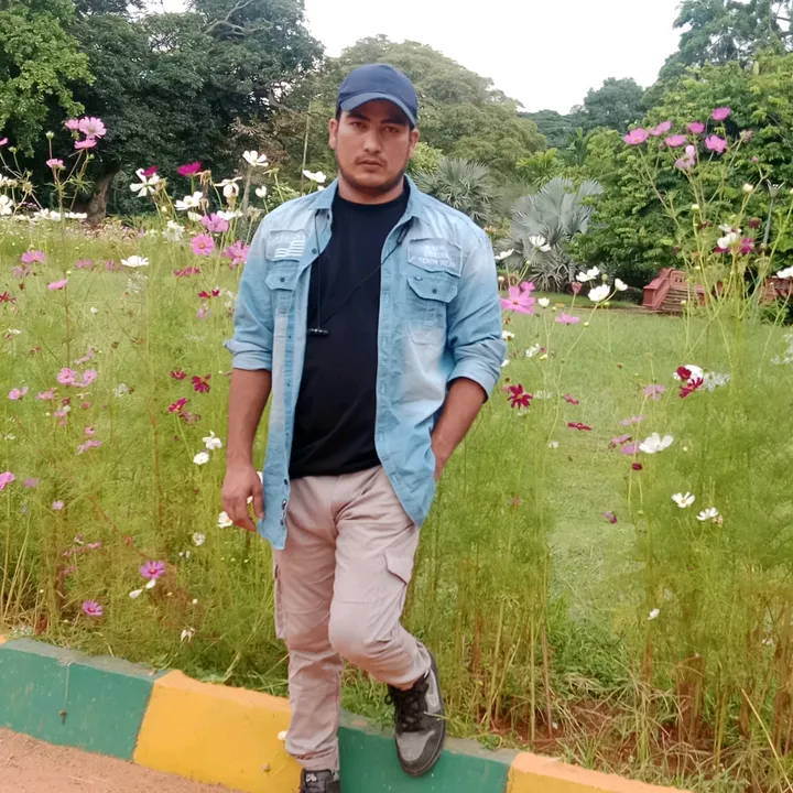@ankit232345