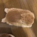 @ilikefatcatsandcandy