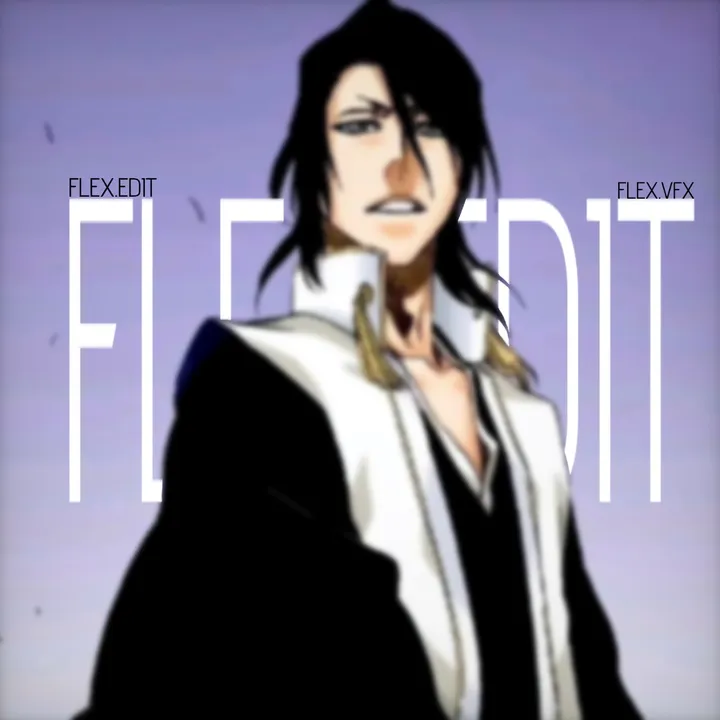 flexedit13